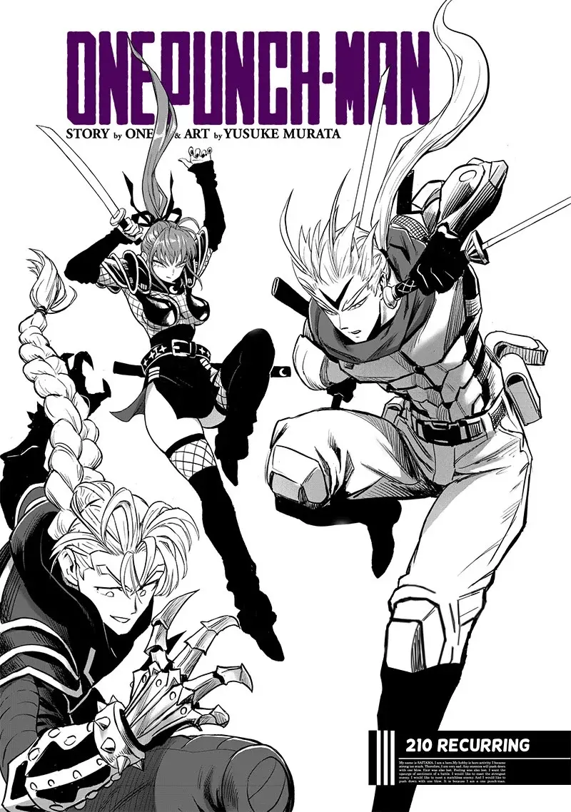 One Punch Man - Chapter 210 image 02
